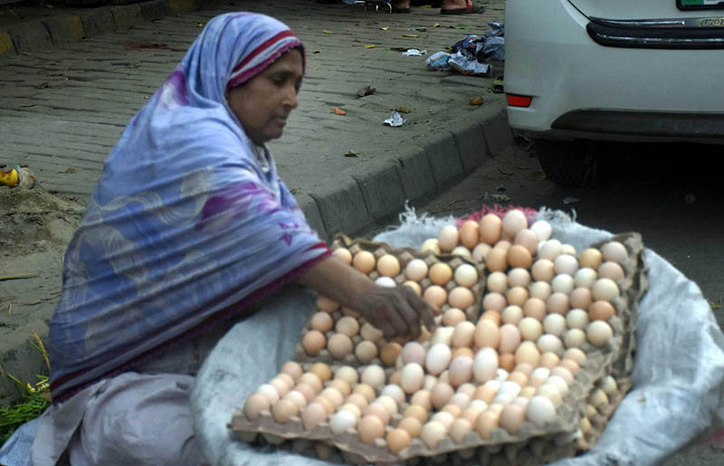 Female Vendor Attracts Customers with Warm Welcome at Roadside Egg Stall