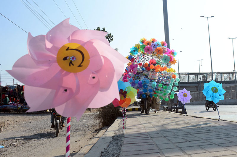 Colorful Pinwheels Brighten Multan’s Roadsides